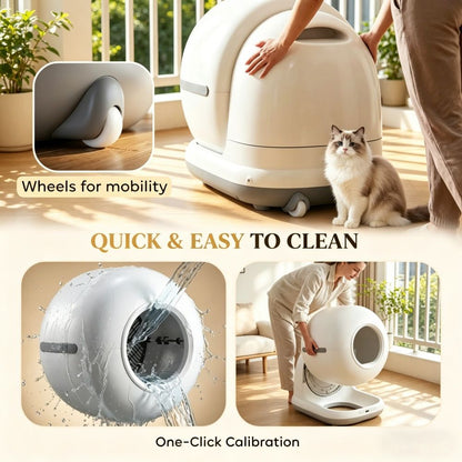 567313221