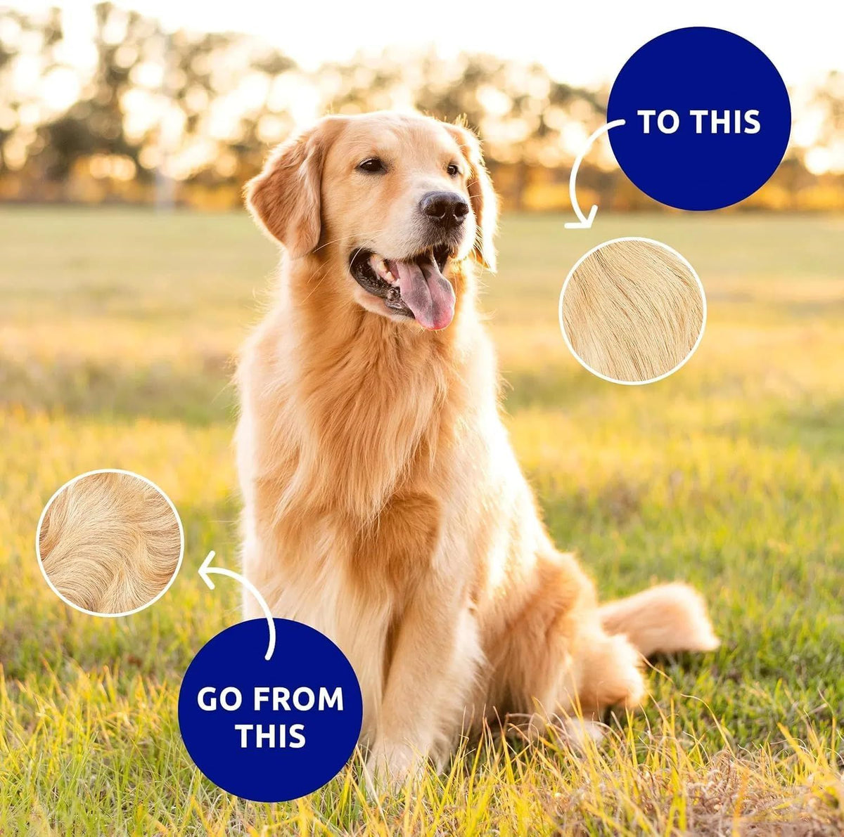 570779691